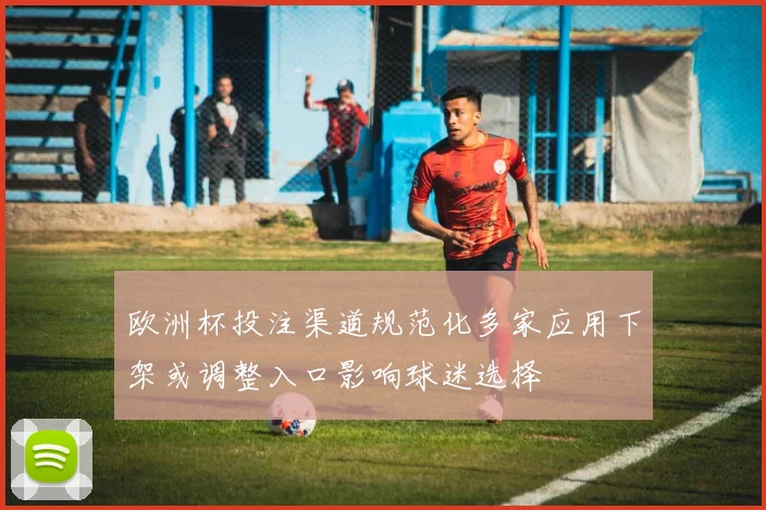 欧洲杯投注渠道规范化多家应用下架或调整入口影响球迷选择
