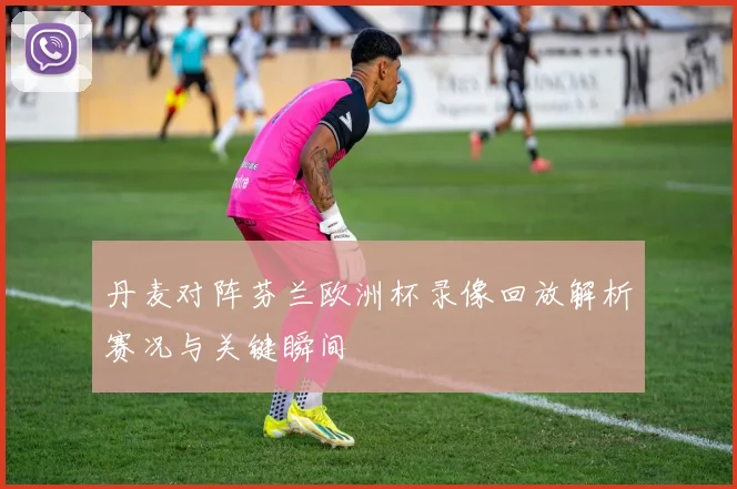 丹麦对阵芬兰欧洲杯录像回放解析赛况与关键瞬间