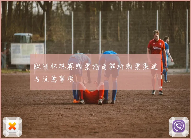 欧洲杯观赛购票指南解析购票渠道与注意事项