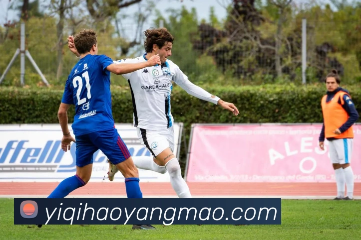 米兰体育在线登录入口发展历程