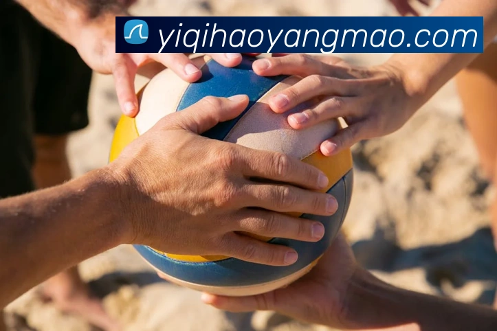 欧洲杯投注渠道规范化多家应用下架或调整入口影响球迷选择